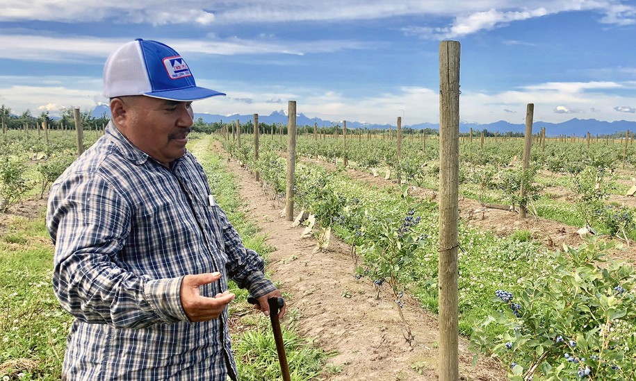 These Latino Workers Broke Away From Big Agriculture To Start Their Own Farm