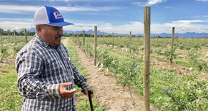These Latino Workers Broke Away From Big Agriculture To Start Their Own Farm